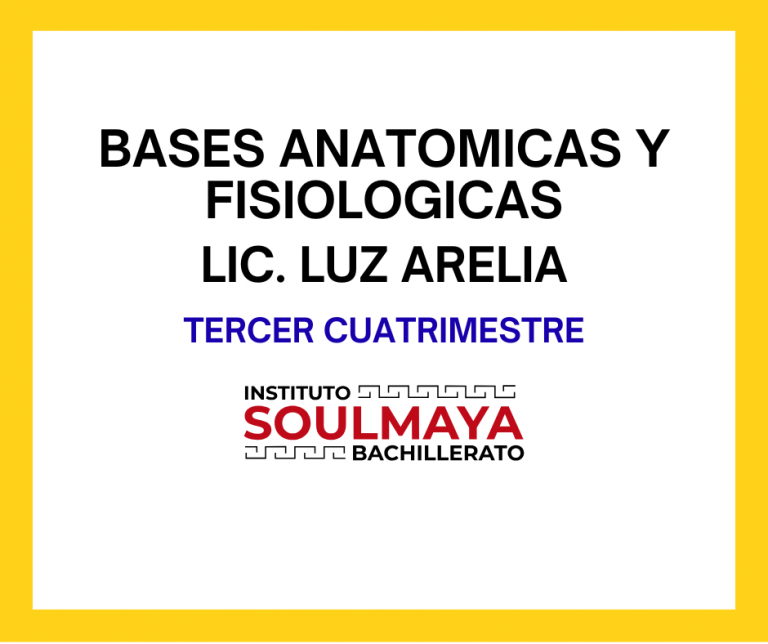 BASES ANATOMICAS Y FISIOLOGICAS